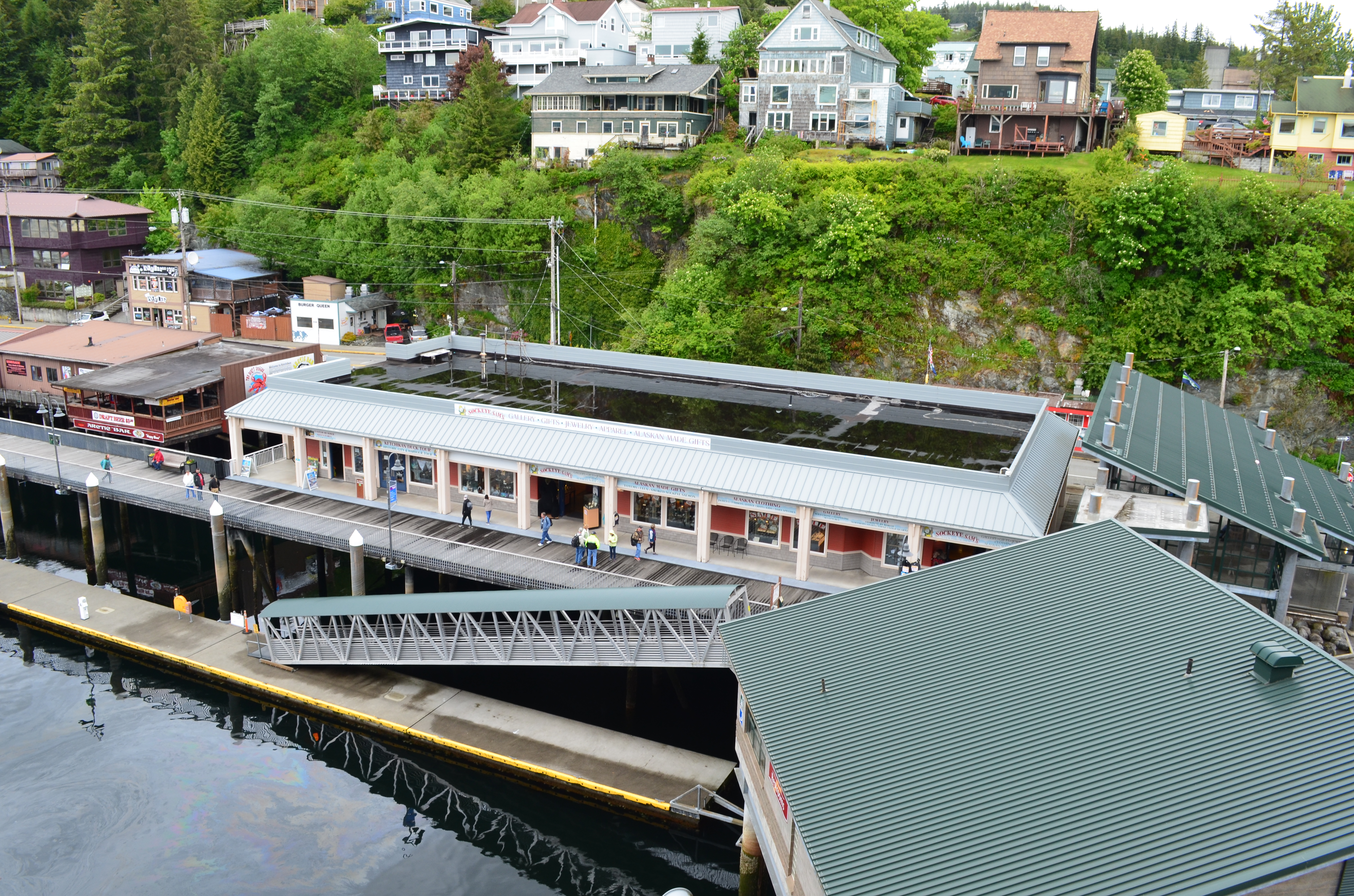 ./2017/08 - Alaska Cruise/11 - Ketchikan/DSC_0431.JPG